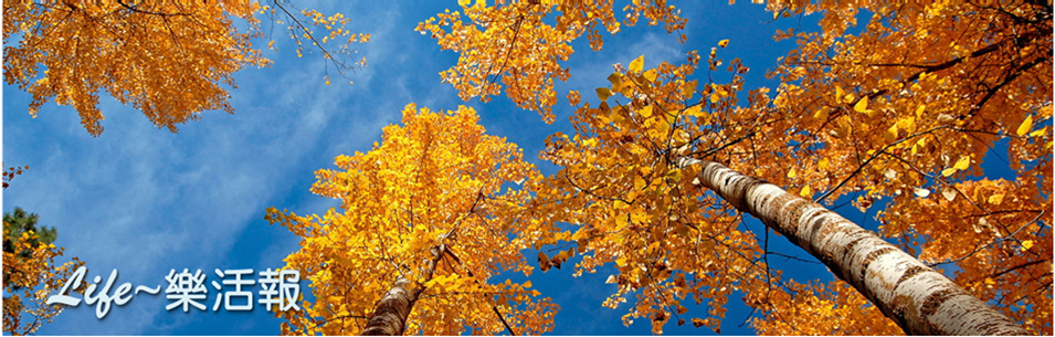 cid:image001.png@01D46FB6.730D00B0